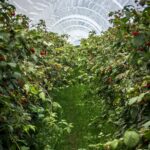 Adroit SCADA agriculture solutions